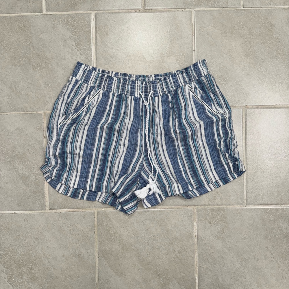 Briggs New York Blue Striped Women Shorts